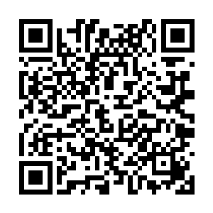 每次只有三天的时间……但是进入这里修炼的弟子二维码生成