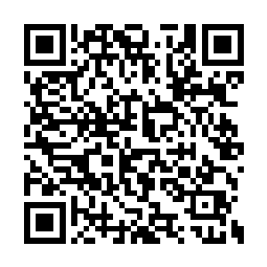 每次潘森大招落地都必须得用闪现才能留下陈诚二维码生成