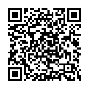 每次看中的人都被这两位同事二话不说就否决掉二维码生成