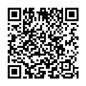 每走到一座木屋前就直接毫不犹豫地一掌击开紧闭的木门二维码生成