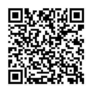 毒玫瑰集团承接的是杜平县城南关的回迁搂工程二维码生成