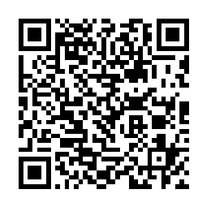 毒玫瑰集团旗下的建筑公司在杜平承建了好几座楼房二维码生成