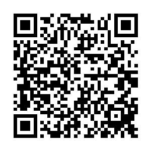 比体型小巧玲珑的人类更不适合高重力星球的生活二维码生成