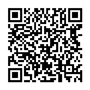 比同境界的其他宗门的修炼者的实力都要强大不少二维码生成