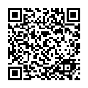 比圣尊级别当中的小圣尊大圣尊这样的差距还要明显二维码生成