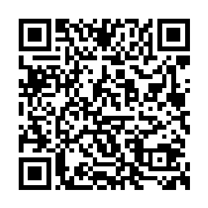 比如两个射击专精的玩家被扔到一个很大孤岛上二维码生成