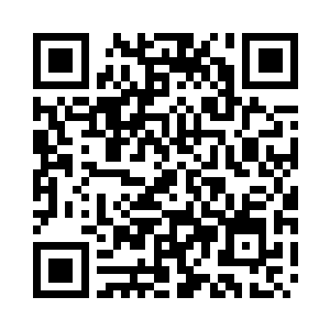 比如什么特殊的袋子类玩意装起来了二维码生成