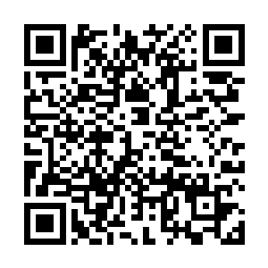 比如吸血鬼亲王伊利亚这样镇守佣兵联盟分部的裁决者二维码生成