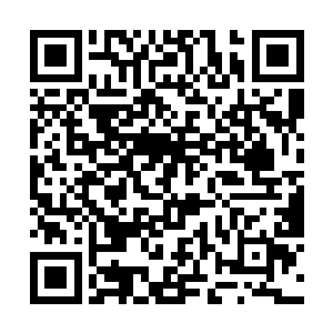 比如天禅子你那时候就只有天地玄黄四个级别的法宝二维码生成