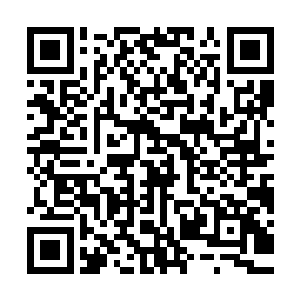 比如说以前充气囊上露了一个洞如果想换或者被大鱼破坏了的话二维码生成