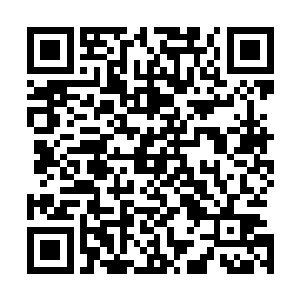 比如说衣食住行这类日常的事情都是需要专人去进行处理的二维码生成