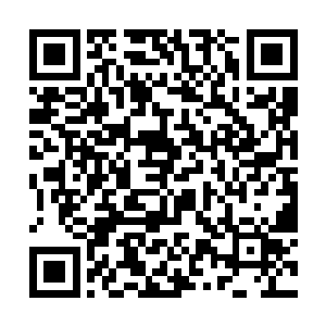 比方凌得到的桐冠道人的道纹复杂不知道多少的道纹二维码生成