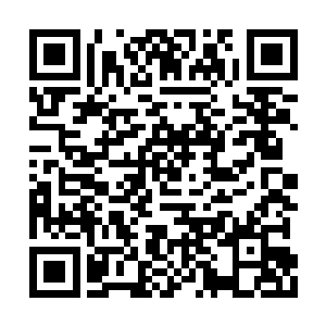 比方说火龙之翼和现在韩风体内的青鸾玉火融合二维码生成