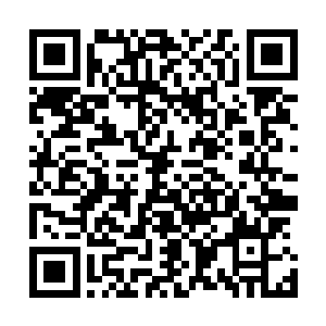 比楚暮当初在蔚蓝界域的蔚蓝秘境内得到的本源之力的气息二维码生成