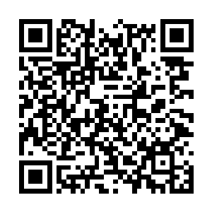 比楚暮用自己的剑意施展出来的火山爆更巨大数倍二维码生成