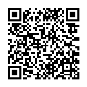 比武场外围漂浮的四名裁判员和八名城主府的大长老二维码生成