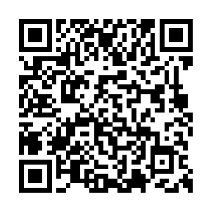 比灰团子更长更厚的毛在风的鼓动下左右飘动着二维码生成