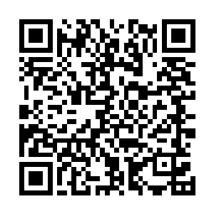 比自己拥有的机甲要小型很多之外……罗迪大概估算了一下二维码生成