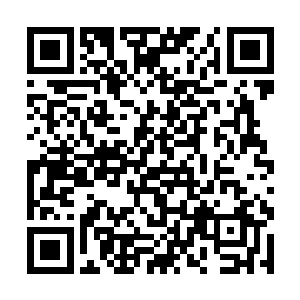 比赛服的版本永远比正常玩家所玩的版本晚一个版本二维码生成