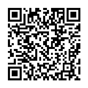 比赛的天平并没有如同大家所想象的那样朝ic战队倾斜二维码生成