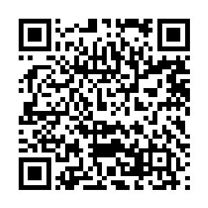 比赛结束还有些喜欢凑热闹的人都赶到到了葬剑峰看好戏二维码生成