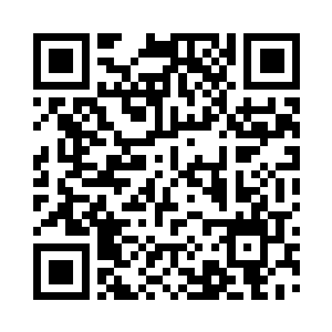 比起从前的艳光四射更多了几分清秀和温柔二维码生成