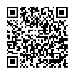 比起司空胥这些一出生就什么都有的王爷要有真本事多了二维码生成