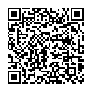 比起夏云杰如今所统辖的两百零五界所有收藏加起来都要超过百倍不止二维码生成