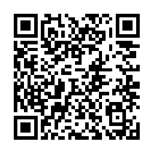 比起用脑袋……他无疑是更喜欢用拳头解决问题的类型二维码生成