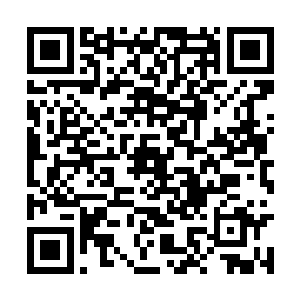 比起秦宇所见到过的任何一位太上境强者都要恐怖二维码生成