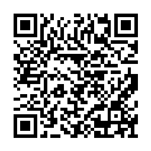 比起那些名震各大天地的太古凶虫自然是差远了二维码生成