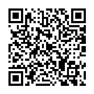 比那些个蹲在狗屎坑边上大唱浓香扑鼻赞歌掩耳盗铃的角色二维码生成