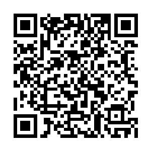 比雨果之前参加过的首映式规模都上了一个台阶二维码生成