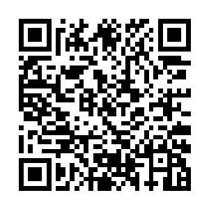 毕竟不是所有人都能像晓楠那样天生对舞台无所畏惧二维码生成