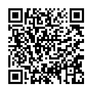 毕竟不是甚么人都能随便带三十多营禁军出战的二维码生成