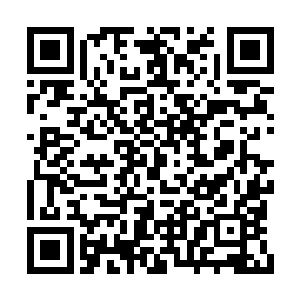 毕竟丹玄宗崛起的时间也不过百万年的时间而已二维码生成