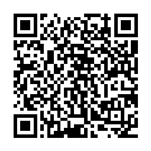 毕竟人工智能的研发绝对是关系到每一个自然人切身利益的事情二维码生成