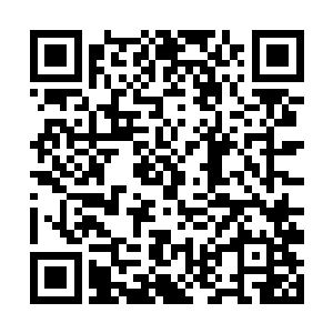 毕竟他从一个普通人成为这些不正常人类眼中的同类二维码生成