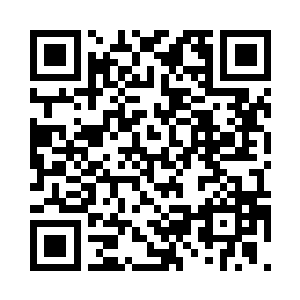 毕竟他们已经从后往前找了五百多位二维码生成