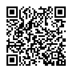 毕竟他现在和卢向东交往已经不是看戴鹏飞的面子二维码生成