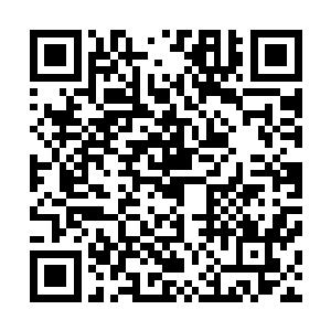 毕竟他的修为境界虽然可以说是勉强达到了小主宰境的层次二维码生成