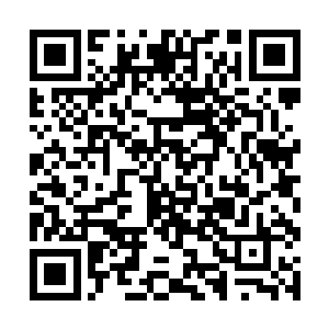毕竟全美票房能有一亿的话这里就是五百万的分成了二维码生成