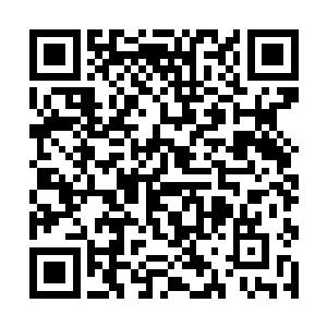 毕竟凌大小姐可并不想让人知道自己跟她这层关系呢二维码生成