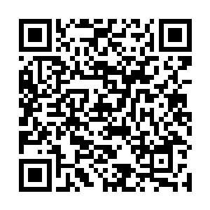 毕竟刚才几乎是凭许紫烟一人之力挽救了整个欧阳家族二维码生成