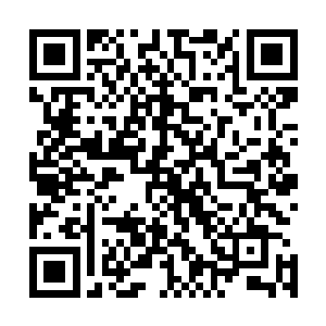 毕竟卢向东在环保局工作的时间真正加起来也不过两个多月二维码生成