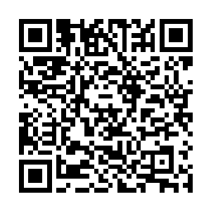 毕竟只有在外面的时候真实之眼才能发挥出巨大的威力二维码生成