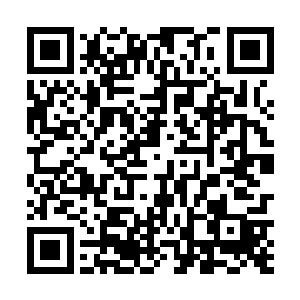 毕竟在第一场比赛陈易清的吸血鬼没有什么亮眼的表现二维码生成