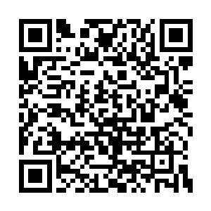 毕竟在见识到太多的隐世家族弟子们的强大之后二维码生成