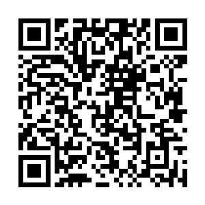 毕竟地仙丹和渡劫丹已经使仙门统制所有陆地神仙二维码生成
