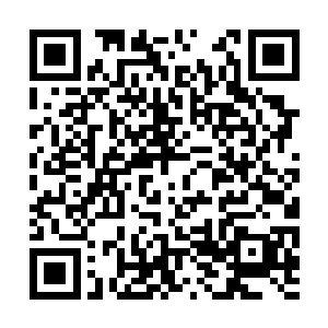 毕竟地伯仙帝已经答应冬哩不插手接下来的事情了二维码生成